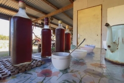 VIDÉO. Tout est bon dans le café, même le sirop