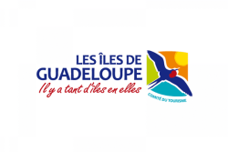 Le CTIG retrouve des couleurs et présente un budget à l’équilibre de plus de 8 millions d’euros, selon un rapport de la CRC