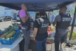 À Basse-Terre, relations tendues entre commerçants et vendeurs à la sauvette