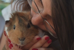 VIDEO. Des animaux de compagnie peu ordinaires en attente d'adoption