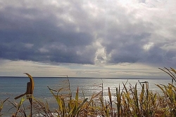 La Réunion : un peu moins de soleil, plus de nuages, quelques goutte et de la houle