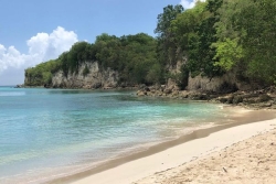 En Guadeloupe, une mission scientifique pour explorer la biodiversité des petites îles de l'archipel