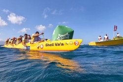 Hawaiki Nui Va'a: en 4 points, on vous explique pourquoi Shell reste favori avec Team OPT et Air Tahiti