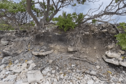 Les Tuamotu et les Marquises subissent déjà les effets du réchauffement climatique
