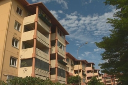 Le Sénat coutumier recueille les doléances des habitants des quartiers populaires de Nouméa