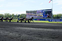 Les pronostics du Quinté de Paris-Vincennes du 13 décembre 2024 par Jack Vautrin
