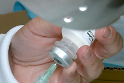 Plusieurs centaines de doses de vaccin contre la grippe saisonnière délivrées à Saint-Pierre et Miquelon