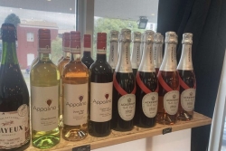 CONSOMMATION. À l'heure du Dry january, le vin sans alcool peine encore à trouver sa place dans les rayons calédoniens