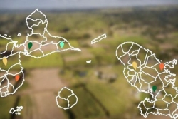 Empoisonnement à la chlordécone aux Antilles : la décision de la Cour d’appel de Paris donne de l’espoir aux associations mobilisées