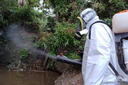 L'inquiétante progression de l'épidémie de chikungunya à La Réunion, le préfet déclenche le niveau 4 du dispositif Orsec