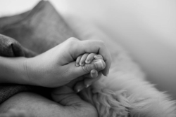 CARTES. Pourquoi davantage de bébés meurent dans les Outre-mer ?