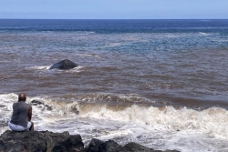 Le corps du pêcheur disparu aux Avirons a été retrouvé sur le rivage de Saint-Louis