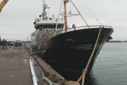 "On a perdu notre saison de pêche" : l'armement ASPM Océan reste à quai faute de quotas pour pêcher le flétan.