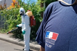 Chikungunya : 2 888 cas signalés, la stratégie de lutte antivectorielle évolue