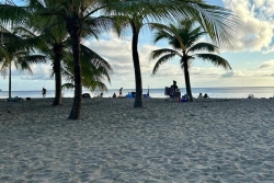 La baignade est à nouveau autorisée sur les plages de Madiana et du Lido à Schœlcher