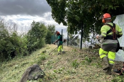 Epidémie de chikungunya à La Réunion : 4 913 cas confirmés et 4 nouveaux décès