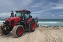 Ramassage des sargasses à Saint-Martin : l’office européen de lutte antifraude ouvre une enquête