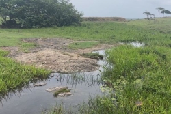 Le projet de restauration écologique "Nogent" du parc national lauréat du programme Mission nature 2025