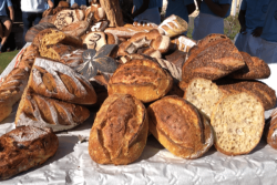Fête du pain : la boulangerie artisanale, un savoir-faire en pleine évolution à La Réunion