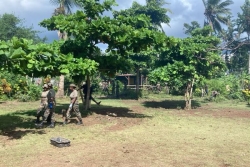 Un "musada" organisé pour sauver le centre équestre d'Hajangua, fermé depuis le cyclone Chido