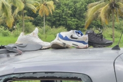 EDITO. Silence, on meurt : l’hécatombe routière en Guadeloupe