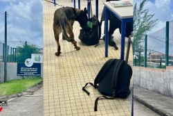 La police dans un lycée de Fort-de-France pour une "opération de sécurisation"
