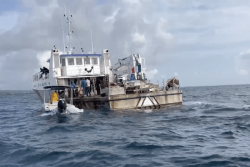 Pêche illégale en zone chlordécone : 12 casiers et un filet saisis au large de Capesterre Belle-Eau