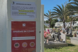 Chikungunya : opération de démoustication dans les 62 cimetières de l’île, à l’approche de la fête des mères