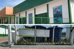 Exploration pétrolière en Amapa : Petrobras obtient d’IBAMA l’autorisation de tester son dispositif de dépollution de la faune sauvage
