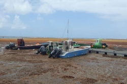 Sargasses à la Désirade : les rotations maritimes annulées avec Saint-François ce jeudi