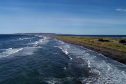 Le prestigieux Muséum d'histoire naturelle consacre une publication à la faune et la flore de Saint-Pierre et Miquelon
