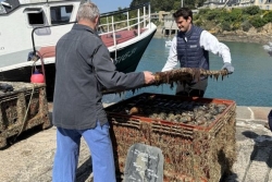 700 bouteilles de rhum vieux antillais remontées après un an au fond de la mer en Bretagne