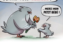RENDEZ-VOUS. Le dessin de la semaine avec Nicolas Yann Martin : 25 mai 2025