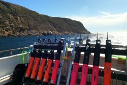 Projet SEAMAP : des robots sous-marins autonomes déployés pour analyser les fonds marins de Saint-Pierre et Miquelon