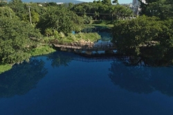 Brésil : Lac, cours d'eau et animaux colorés en bleu