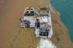 Le Sargator 3, géant guadeloupéen contre les sargasses… pour la Martinique