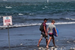 Vigilance Risque Requin à La Réunion après les fortes houles du week-end dernier
