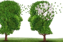 " Neurosciences : développement personnel ou vraie connaissance du cerveau ? " La Guyanaise Christéva Montanède répond