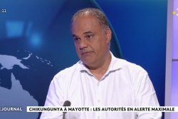 Une première vague de chikungunya à Mayotte avant une plus forte à la prochaine saison des pluies ?
