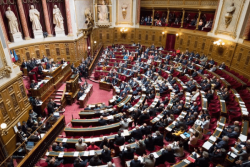 Adoption du projet de loi pour la refondation de Mayotte au Sénat : les deux sénateurs mahorais mitigés
