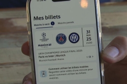 14 supporters Réunionnais du PSG décollent vers l'Allemagne, pour la finale de la Ligue des Champions
