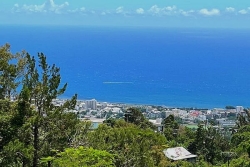 La Réunion : une journée ensoleillée avec des rafales d'alizés de 60 à 70 km/h