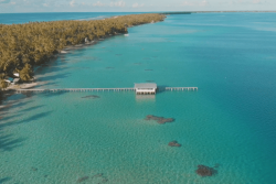 Sommet de la Mer outremer : les projets du Premier ministre pour les ressources marines outremer