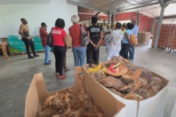 Visite d’organisations politiques patriotiques martiniquaises et guyanaises en Guadeloupe : la SICAPAG en guise de modèle