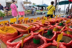 Le marché du Moule en lice pour devenir le plus beau marché de France