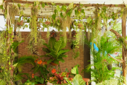 Floralies 2025 : un festival de couleurs