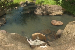 Pénurie en Martinique : vers une meilleure gestion de l'eau ?