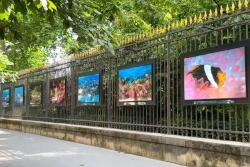 L’Océan Vivant, une exposition photo exceptionnelle pour plonger au cœur de la vie marine