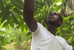 L'agritourisme mahorais tente de se relever après le cyclone Chido
