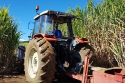 Agriculteurs cherchent main-d’œuvre désespérément